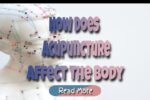 Acupuncture – How Does Acupuncture Affect Our Body?