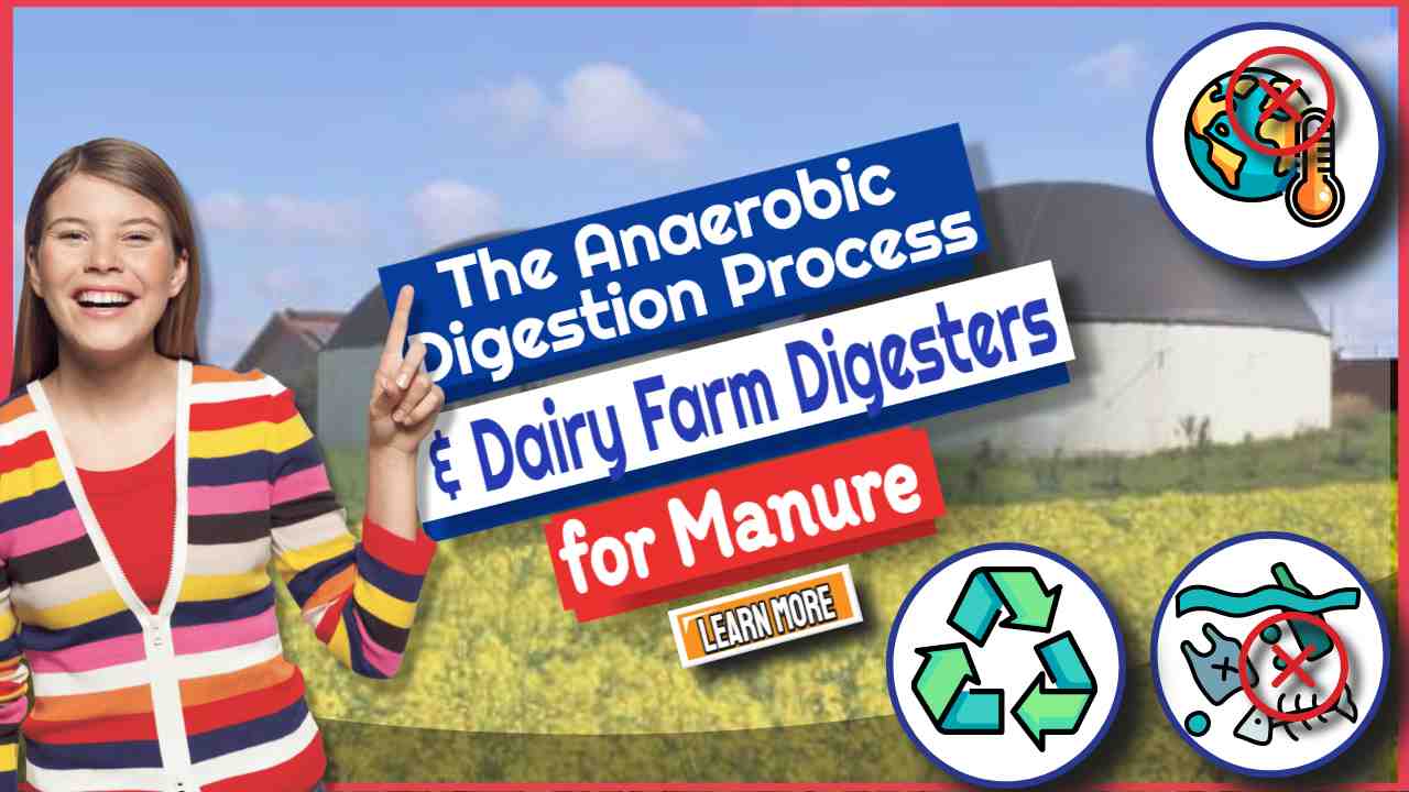 Image text: "The Anaerobic Digestion Process and Dairy Farm Digesters".