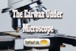 Earwax Under The Microscope: What It Is And Why You Should Care