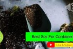 Best Soil For Containers – Gardening Made Simple