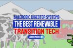 Anaerobic Digester Systems the Best Renewable Transition Tech