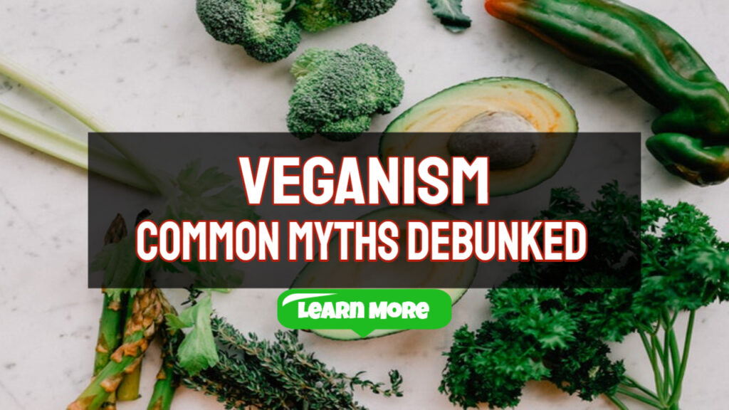 Veganism Common Myths Debunked