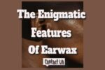 The Enigmatic Features Of Earwax