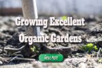 Growing Excellent Organic Gardens
