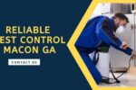 5 Key Signs You Should Call Pest Control Macon GA Services