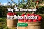 Why the Government Must Reduce Pesticides
