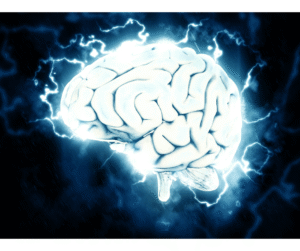 Brain waves