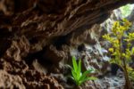 Belizean Caves: Unveiling Archaeology, Climate, and Biodiversity