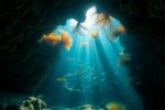 Belize Diving: Discover Hidden Underwater Gems Beyond Blue Hole