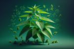 Nettle for Allergies: The UK’s Natural Solution