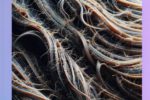 Reversing Heat Damage: Effective Strategies and Solutions