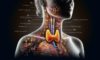 Thyroid Blood Test Service: Quick and Reliable in Aylesbury