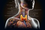 Thyroid Blood Test: Fast and Trustworthy Service in Aylesbury