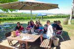 Yarrawood Estate: Uncover Your Ideal Wine Adventure