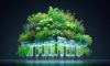 Hydroponic Herbs: Cook for Fresh Flavours