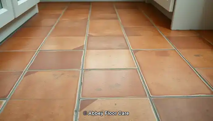 What Contributes to Rapid Dirt Accumulation on Terracotta Floors?