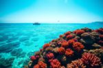Belize: Your Complete Travel Guide and Location Info