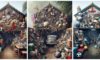 Autumn House Clearance: Essential Tips for Decluttering