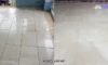 Restored Marble: How to Achieve a Pristine Finish