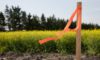Subdivision Surveys: Your Essential Guide for Clyde North