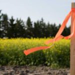Subdivision Surveys: Your Essential Guide for Clyde North