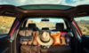 Joshua Tree Park: Explore Nature’s Wonders on a Road Trip