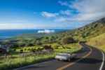 Explore Scenic Routes and Hidden Gems on a Maui Upcountry Road Trip