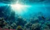 Great Blue Hole Diving Tips for Enthusiasts in Belize