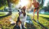 Trick Training for Dogs: Fun Techniques for Clever Canines