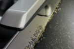 Ant Infestation in Schofields: Dealing with Your Car’s Pests