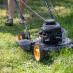Grass Cutting Services: Essential Advice for Yeovil Lawns