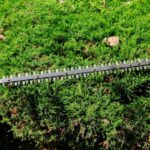 Hedge Trimming Best Practices for Queen Camel Gardens