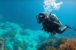 Big Blue Hole in Belize: Must-Know Diving Tips and Guide