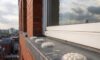 Bird Proofing Solutions: Spike-Free Gel Repellent Options