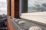 Bird Proofing Solutions: Gel Repellent Without Spikes or Netting