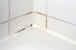 Shower Grout Issues: Solutions for Sydney Homes