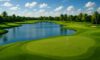 Golf Resorts in Florida: Discover the Finest Options