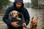 Pet Safety Measures for Flood Evacuations: Essential Tips