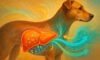Liver Health Monitoring for Dogs: Key Care Guidelines