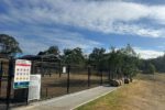 Tree Planting Event at Maitland’s Rutherford Dog Park
