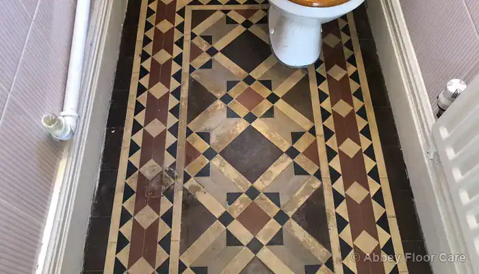 Close-up of Victorian tile showing white efflorescence from moisture and salt movement