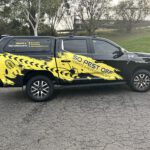 Termite Control Faqs for Homeowners in Sydney