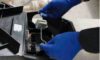 Rat Bait Laws in Australia: Key Updates You Must Know