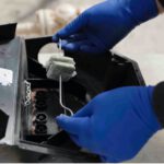 Rat Bait Laws in Australia: Key Updates You Must Know