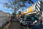 Crane-Assisted Tree Removal in Edgeworth: A Case Study