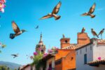 Bird Watching Tips for San Miguel de Allende Enthusiasts