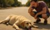 Heat Exhaustion Treatment for Pets: Key Recovery Tips