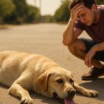 Heat Exhaustion Treatment for Pets: Key Recovery Tips