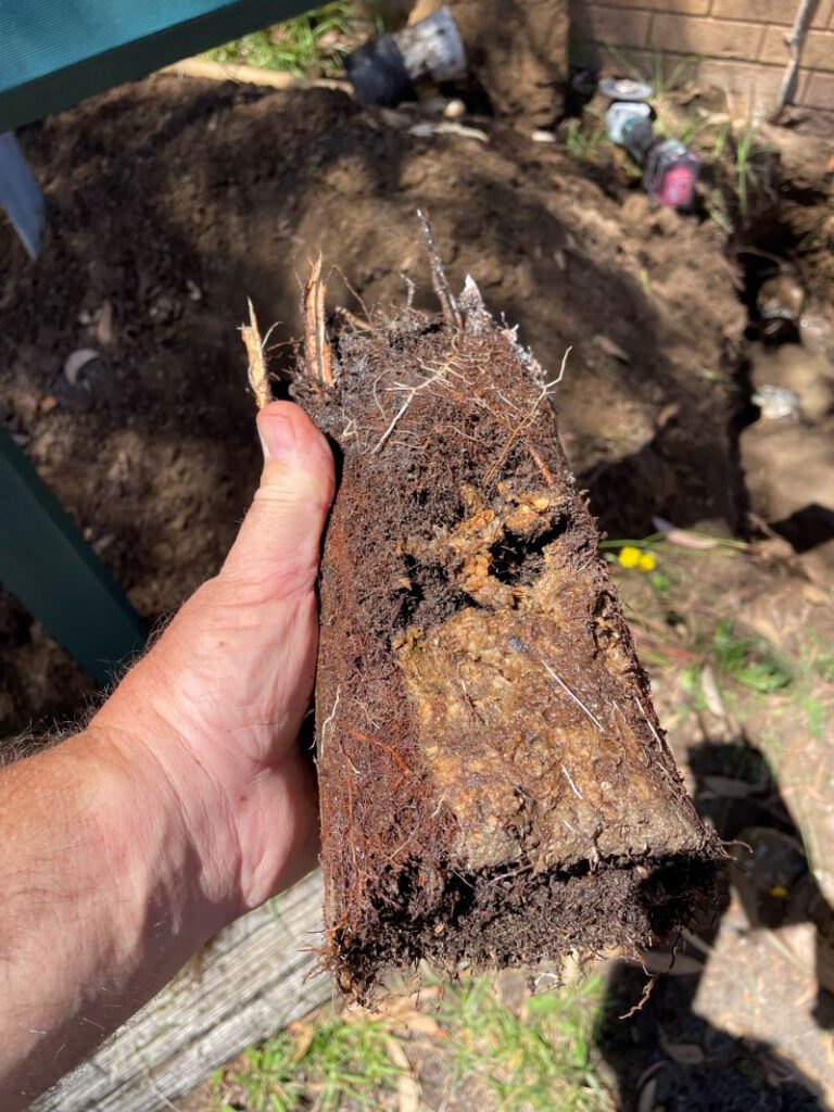 Clay Soil’s Impact on Caboolture’s Pipes