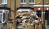 Loft Clearance Solutions: Affordable Options in Christchurch